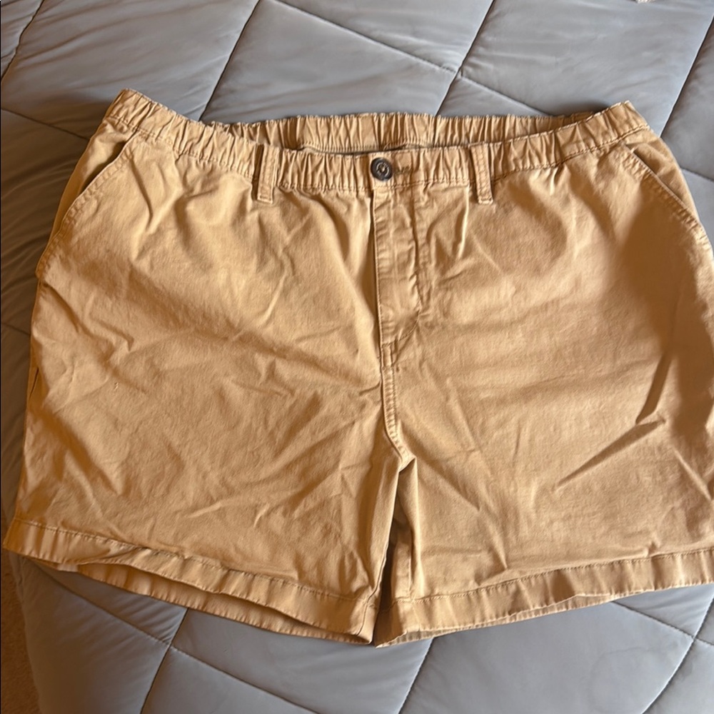 Men’s chubbies 5.5 chino